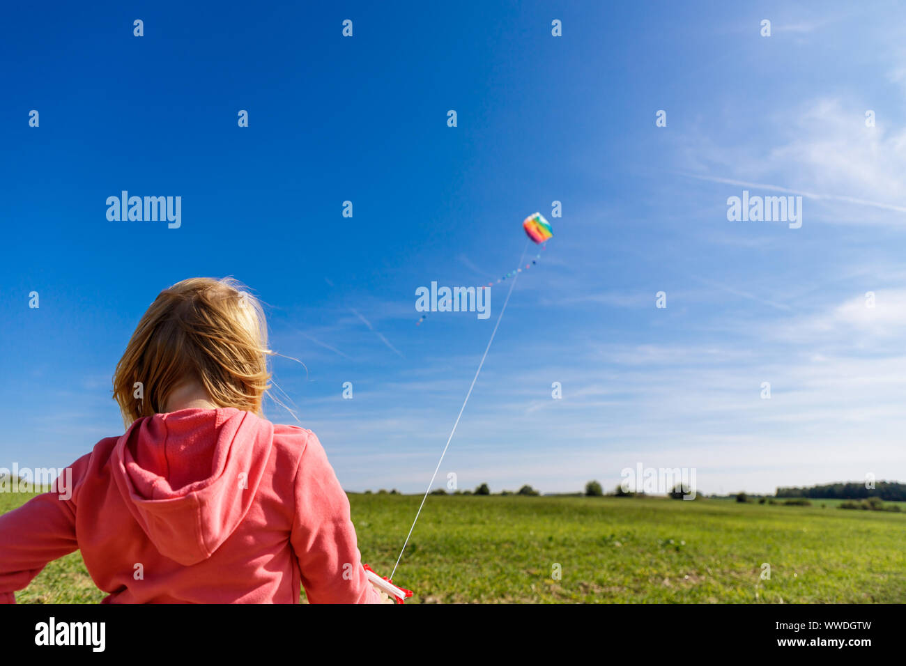 Hübsches kleines Mädchen mit blondem Haar in einem Feld in einem rosa sweatshirt blickt auf eine bunte Drachen in einem blauen Himmel mit weichen Wolken Stockfoto