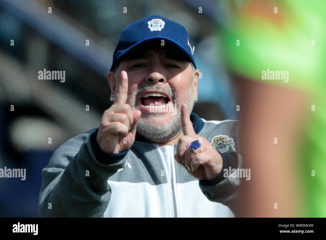 Buenos Aires, Argentinien. 15 Sep, 2019. Fußball Argentinien, Super League, Gimnasia y Esgrima La Plata-Racing Club in der Juan Carmelo Zerillo Stadion. Diego Maradona, Trainer der Gimnasia y Esgrima La Plata, fordert. Credit: Gustavo Ortiz/dpa/Alamy leben Nachrichten Stockfoto