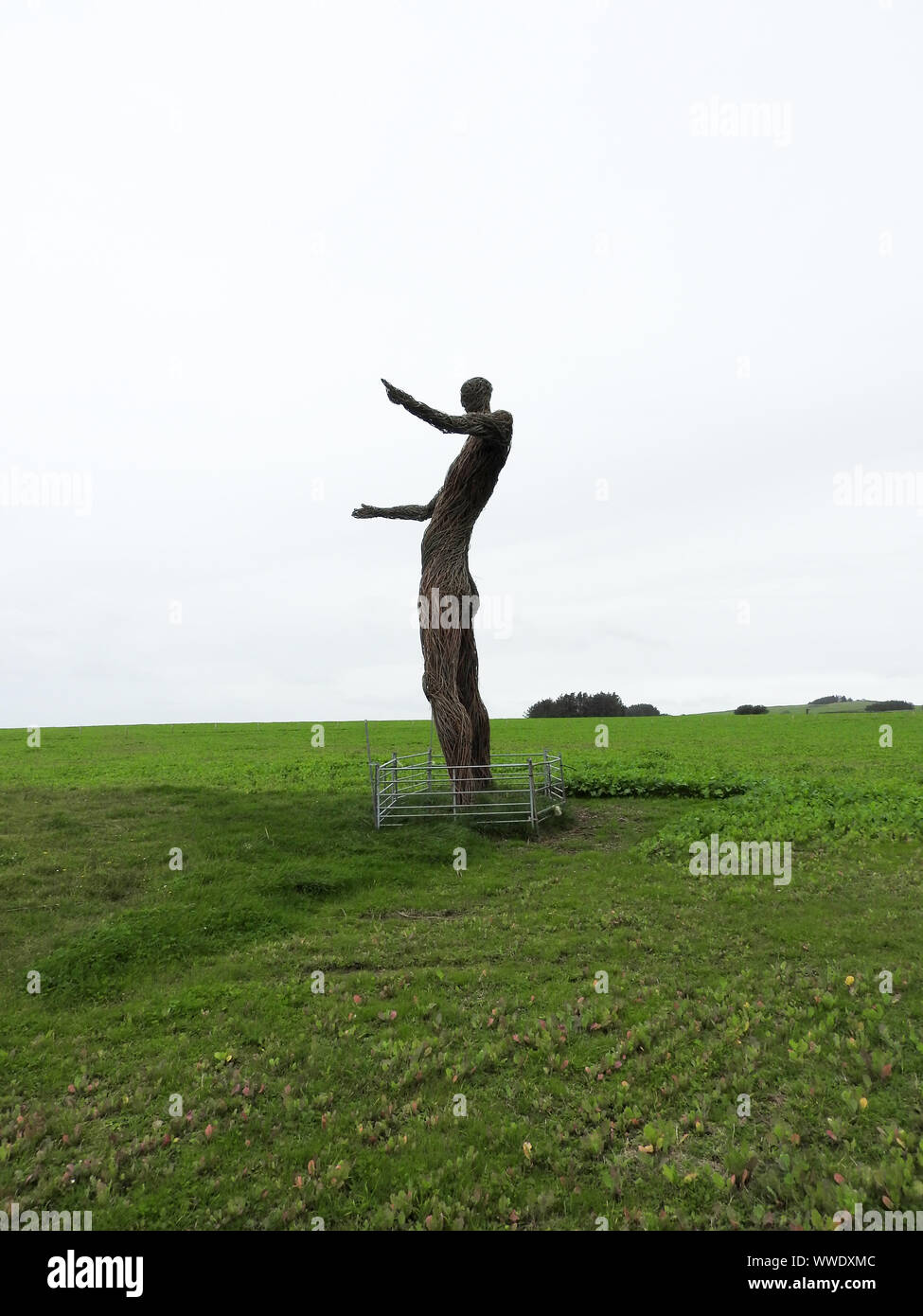 2019 Bild - ein Blick auf die riesigen neuen Wickerman Wickerman Festival Abbildung im Feld in der Nähe von Dundrennan, Dumfries und Galloway. (Von einem normalen Bauern Zaun umgeben sind). Stockfoto