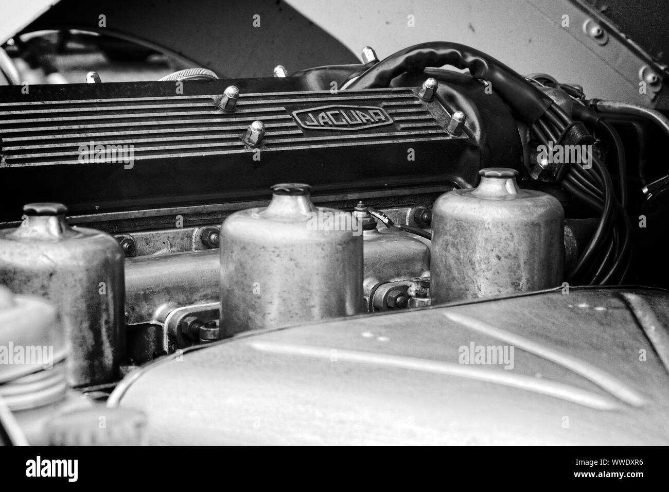Schwarz-weiß-Bild von einem Jaguar Sportwagen Motor Übersicht Ventildeckel und Vergaser. Stockfoto