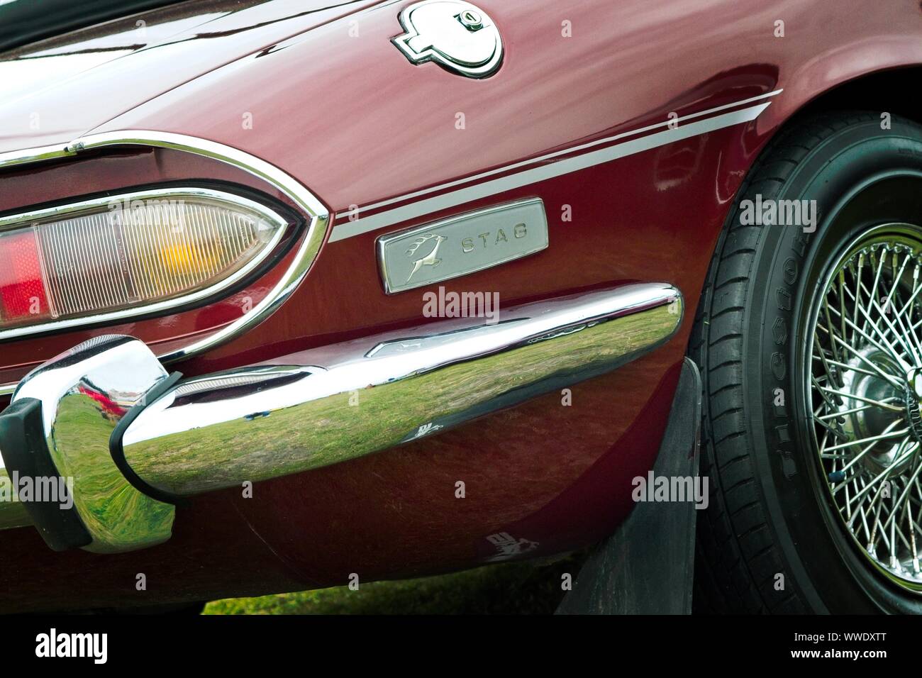 Rechte Seite des hinteren Detail einer Stag klassische Britische Sportwagen mit Chrom Stoßfänger, Scheinwerfer und Hirsch Abzeichen. Stockfoto