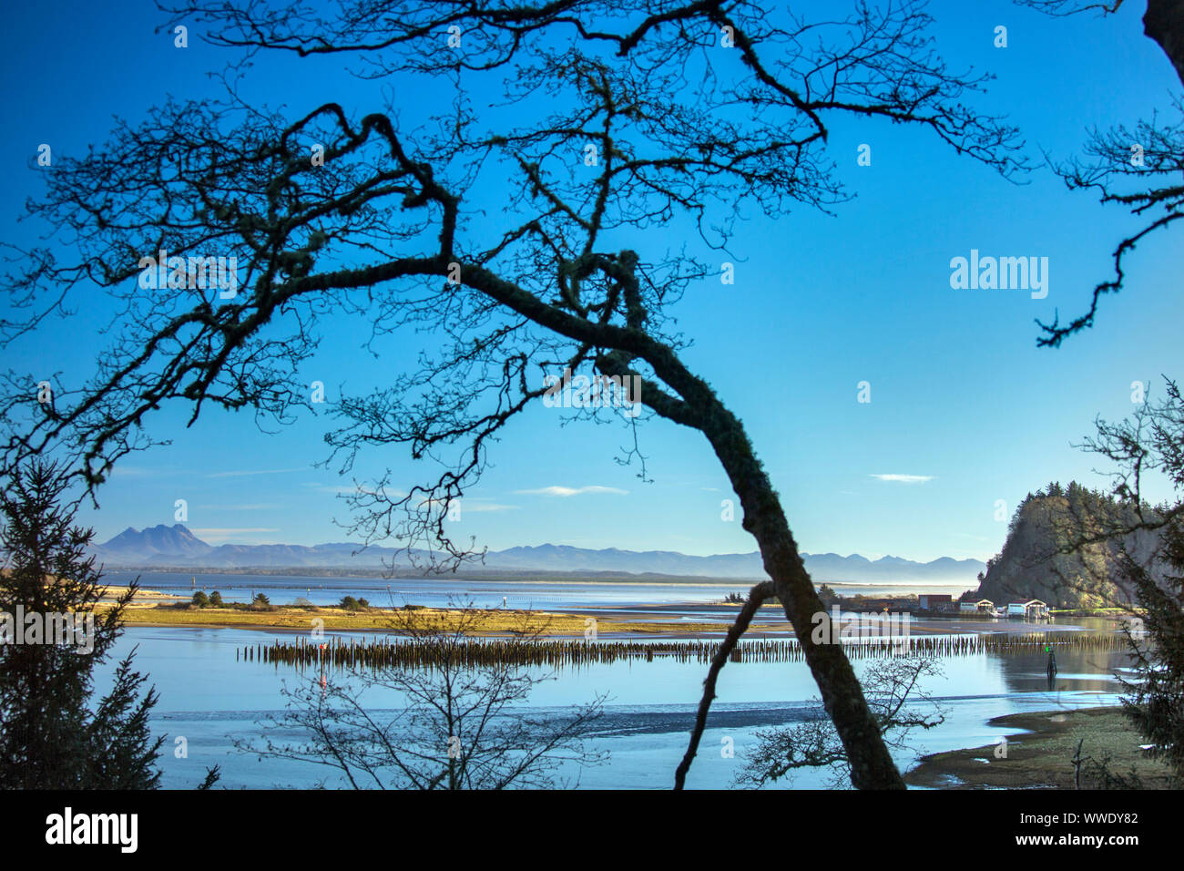 Discovery Bay Stockfoto