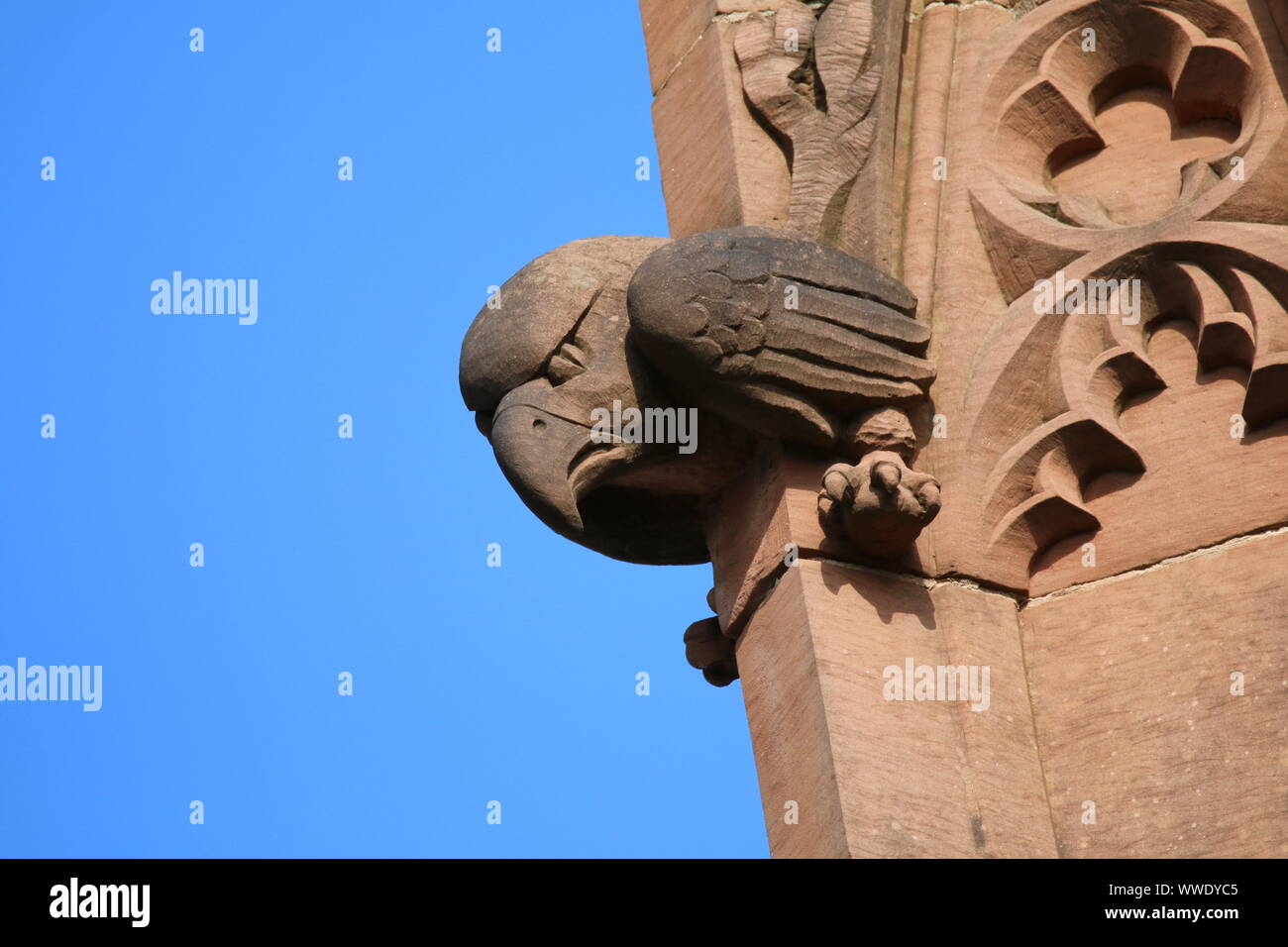 Wütend bird Carving, Außen, St Mary's Church, Crewe, Cheshire Stockfoto