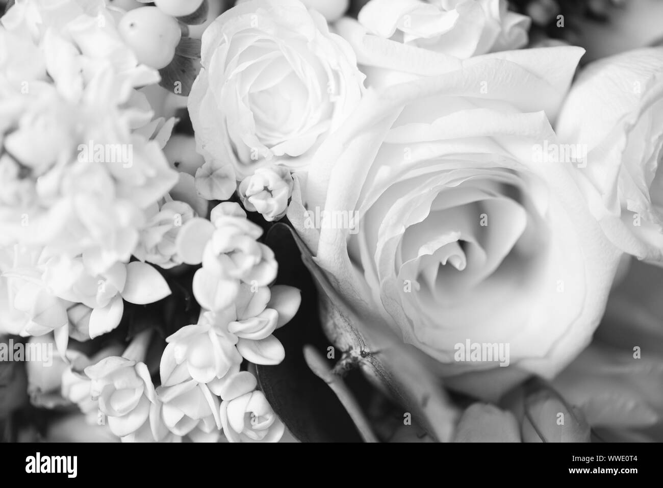 Schönen Blumenstrauß Nahaufnahme. Themen von Engagement, Erklärung der Liebe, Hochzeit, Blumengeschäft Dienstleistungen. Schwarzweiß-Effekt. Stockfoto