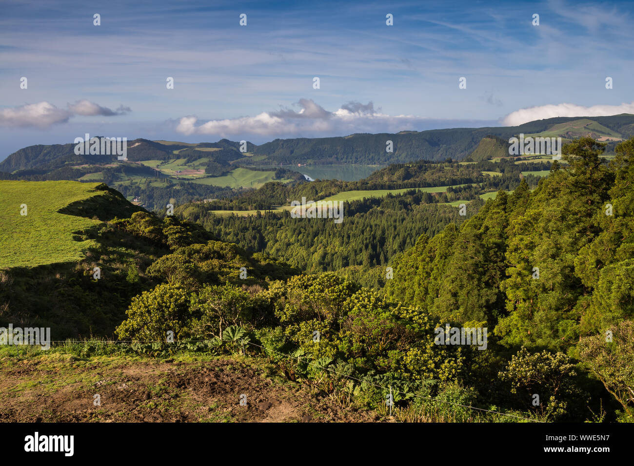 Natur mit grünen Felder, Wiesen und Wälder, in einem Tal, umgeben von Bergen. Blauer Himmel mit weißen Wolken. Furnas, Sao Miguel, Azoren ist Stockfoto