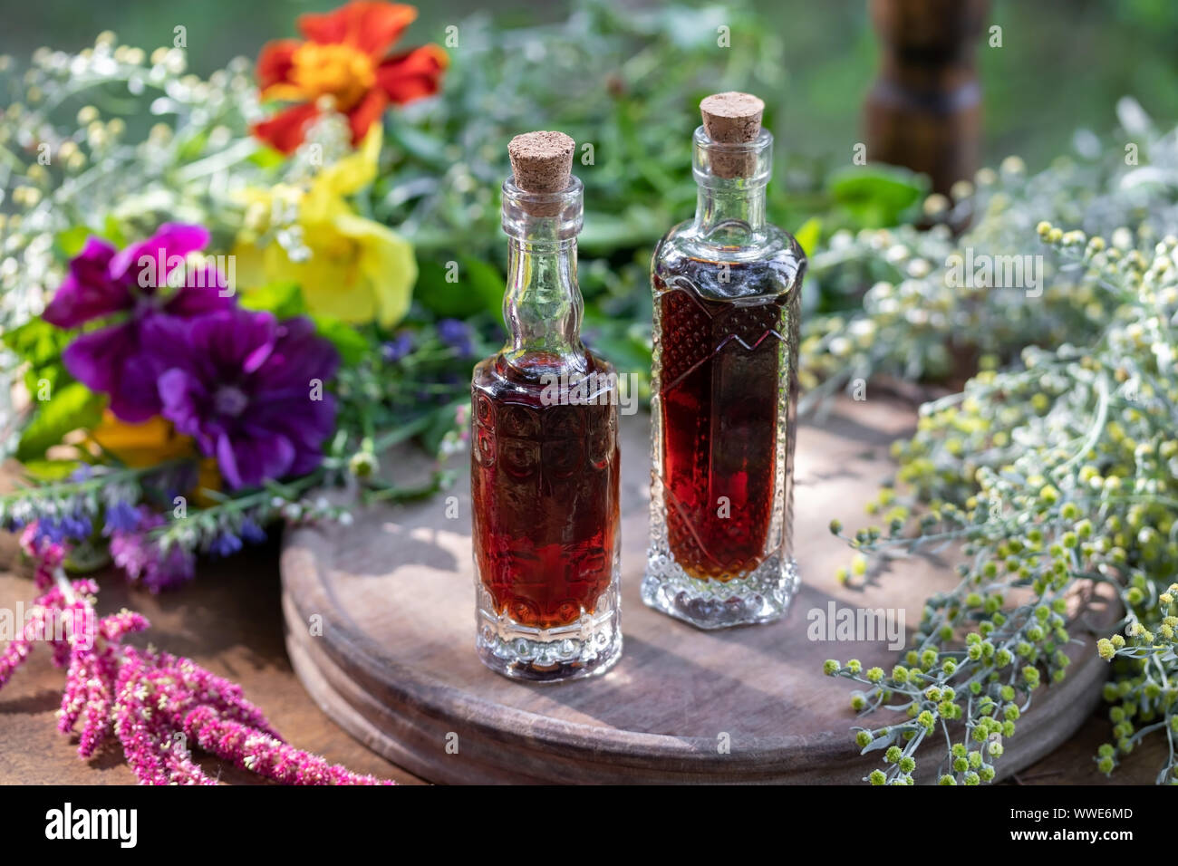 Flaschen für pflanzliche Tinktur aus frischen Wermut, Malve, amaranthus caudatus und anderen Kräutern Stockfoto