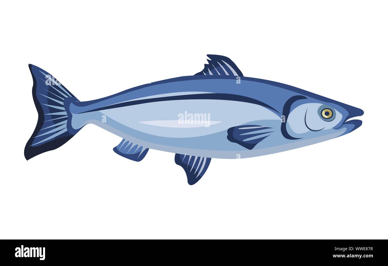 Raw ganzer Lachs Symbol auf weißem Hintergrund, frischer Fisch, Produkt, gesundes Essen, Vector Illustration. Stock Vektor