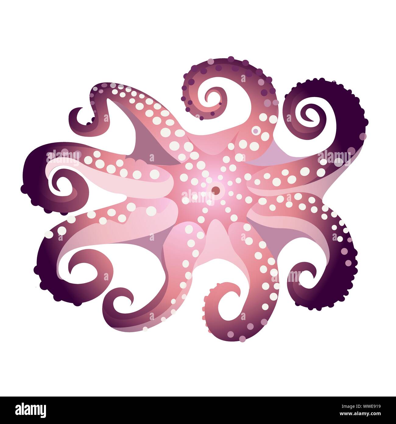 Octopus isoliert auf weißem Hintergrund, frische Meeresfrüchte, Unterwasser marine Tier, Vector Illustration. Stock Vektor