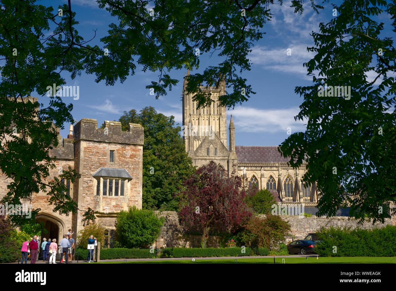 Auf der Suche nach den zentralen Turm von Wells Cathedral von Bishop's Palace Rasen vor. Stockfoto
