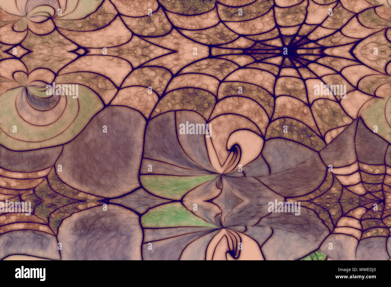 Spinnennetz, Photocollage, illustriert Stockfoto
