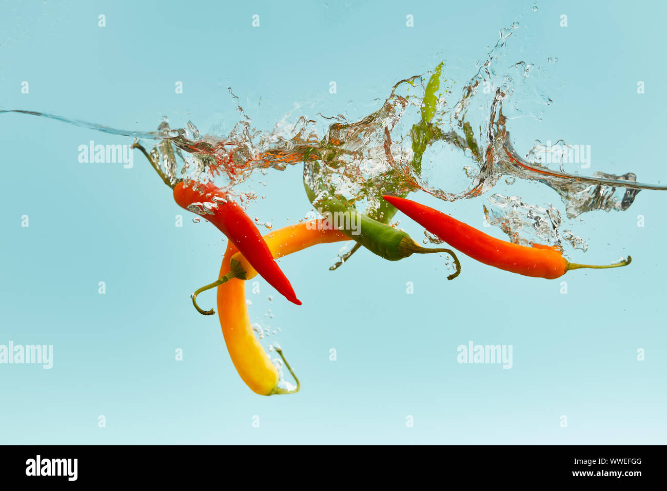Bunte Chilischoten fallen tief im Wasser mit Spritzen auf blauem Hintergrund Stockfoto
