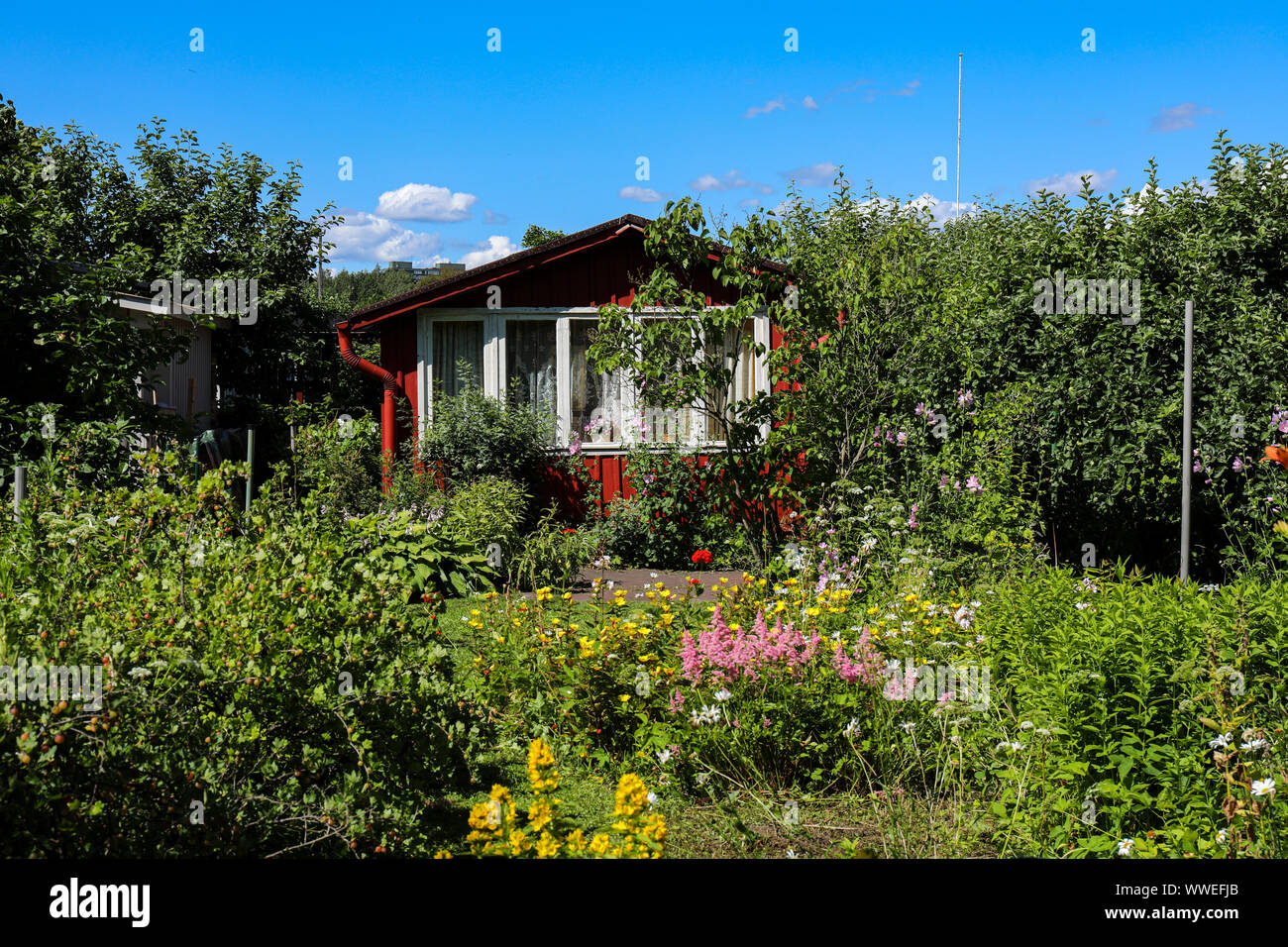 Roter Schrebergarten Hütte in Helsinki, Finnland Stockfoto
