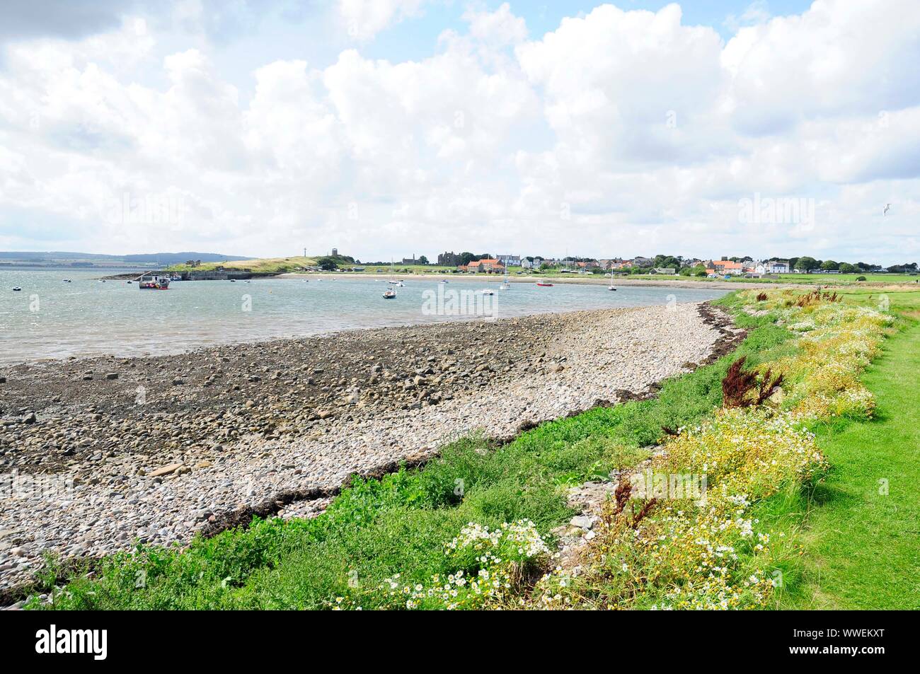 Ein Blick auf die Küstenlinie auf der heiligen Insel von Lindisfarne, Northumberland, Großbritannien Stockfoto