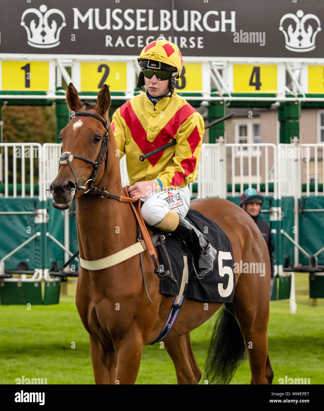 Jockey Nathan Evans auf Klara Geist vor Beginn der EBF Fillies' Bedingungen Stakes (Plus 10 Rennen) bei Musselburgh - 14. September 2019. Stockfoto