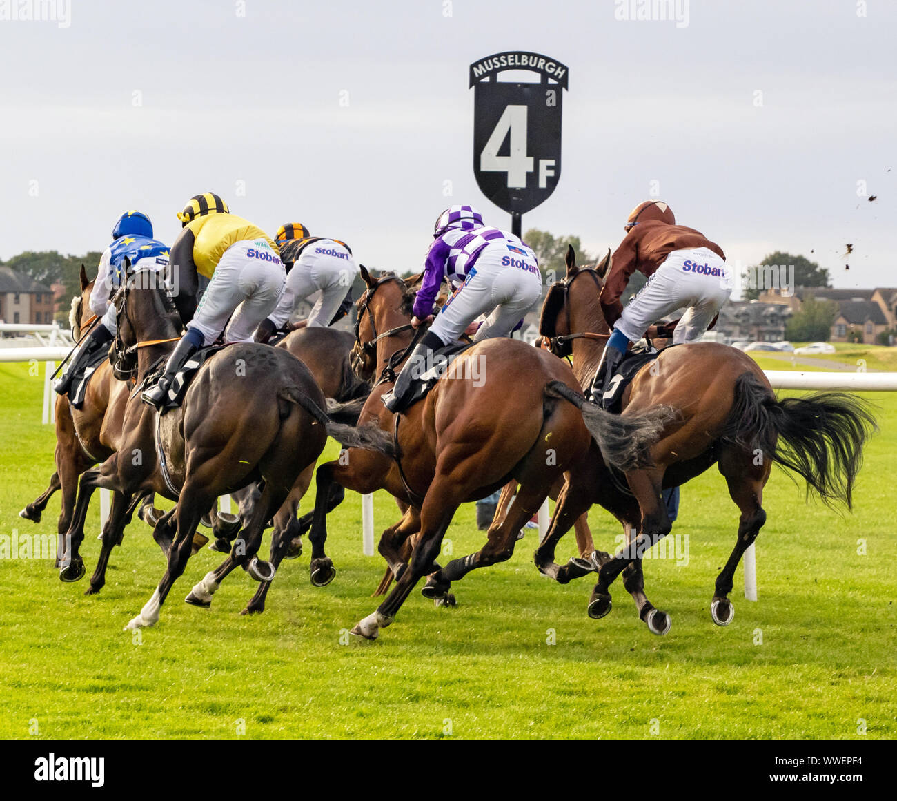 Pferde und Jockeys während eines Rennens auf der Musselburgh Racecourse, East, Lothian, Schottland, Großbritannien. Stockfoto