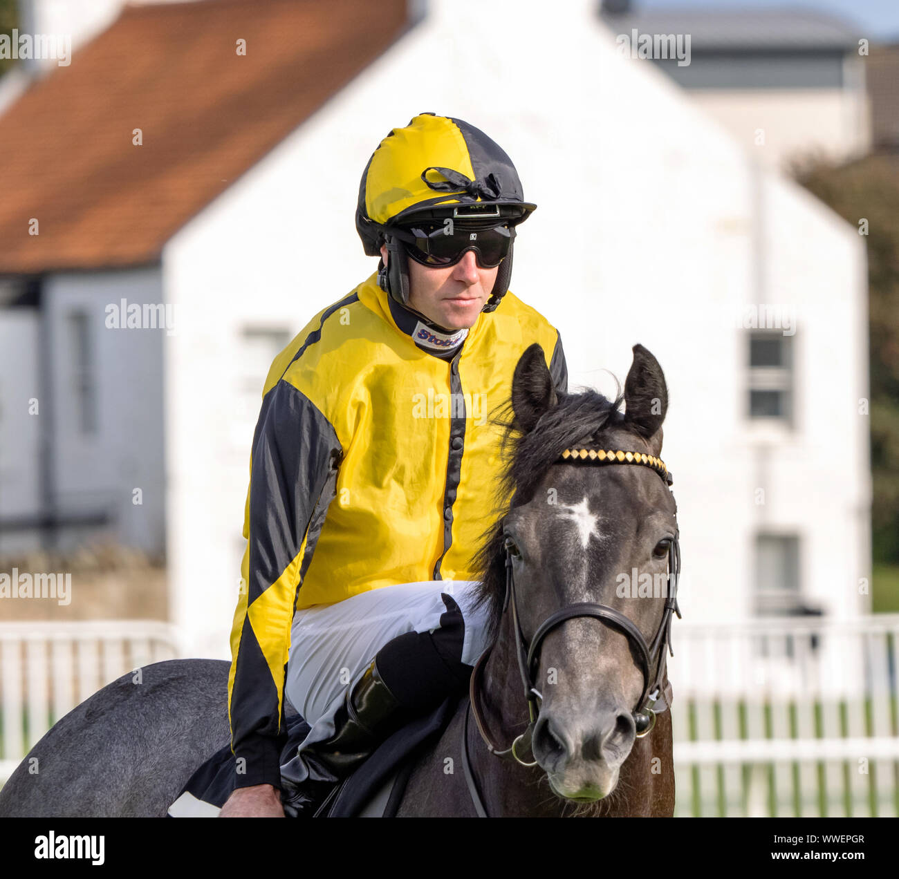 Jockey Tom Eaves auf unbesiegbar Bertie vor Beginn der Melden Sie RacingTV jetzt Kindergarten Handicap bei Musselburgh - 14. September 2019. Stockfoto