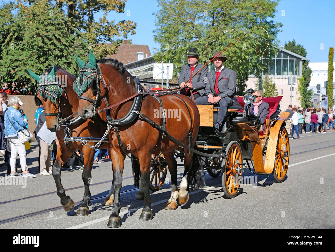 Stuttgart, Germany-September 30, 2018: Bierfest, Festzug mit Pferden Stockfoto