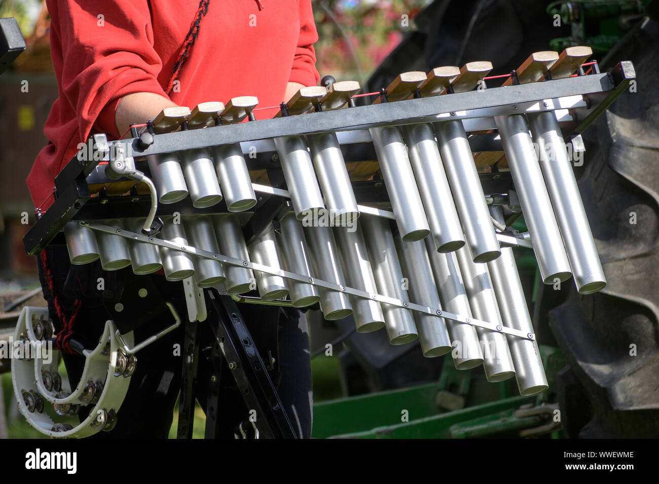 Musiker spielt das Xylophon in einer Blaskapelle, ausgewählte konzentrieren Stockfoto