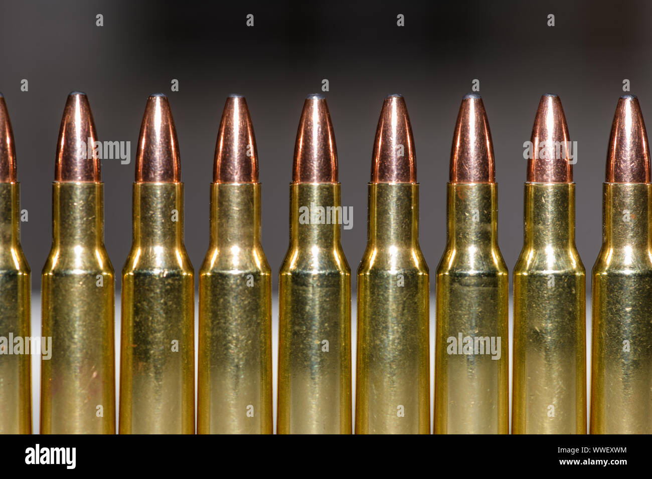 Gewehr Munition Aufgereiht symmetrisch - 222 Kaliber Stockfoto