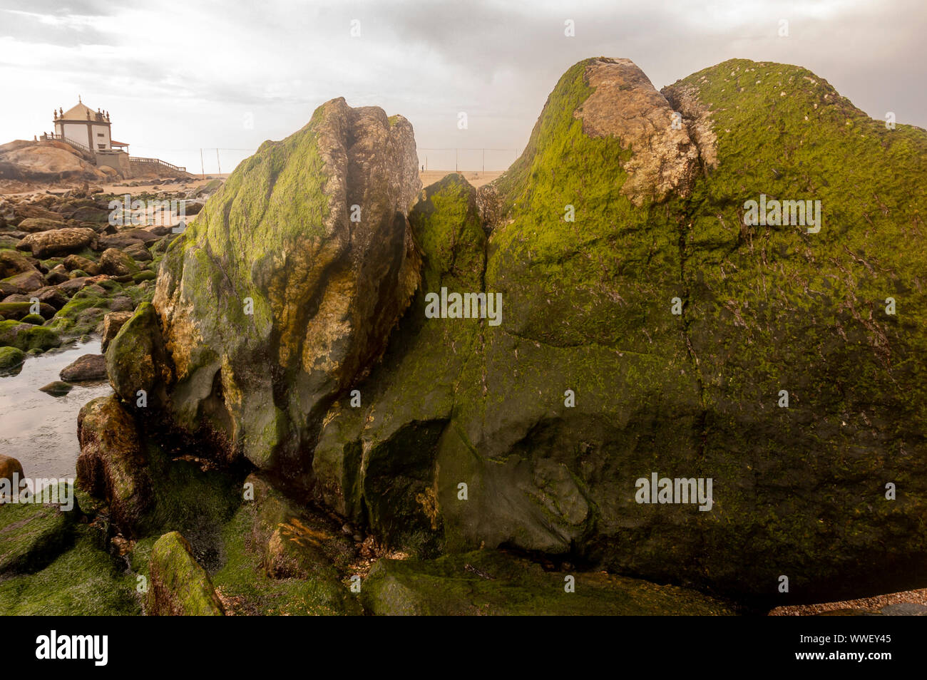 Senhor da Pedra Stockfoto