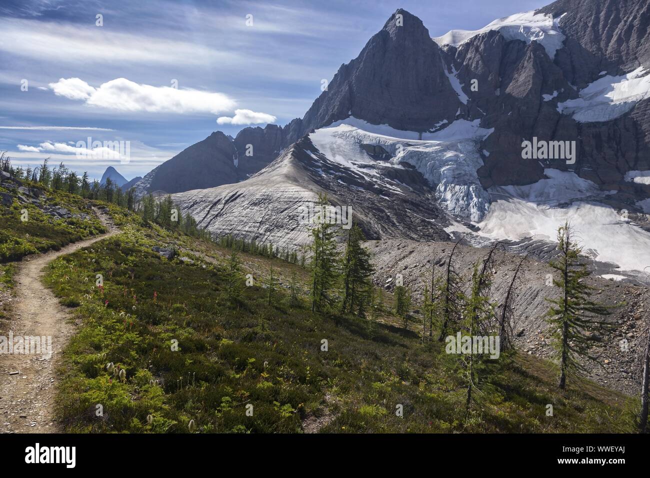 Große Wanderweg in Grüne Almwiese unterhalb Rockwall Berggipfel und Gletscher Landschaft in den Kootenay National Park, kanadische Rockies Stockfoto