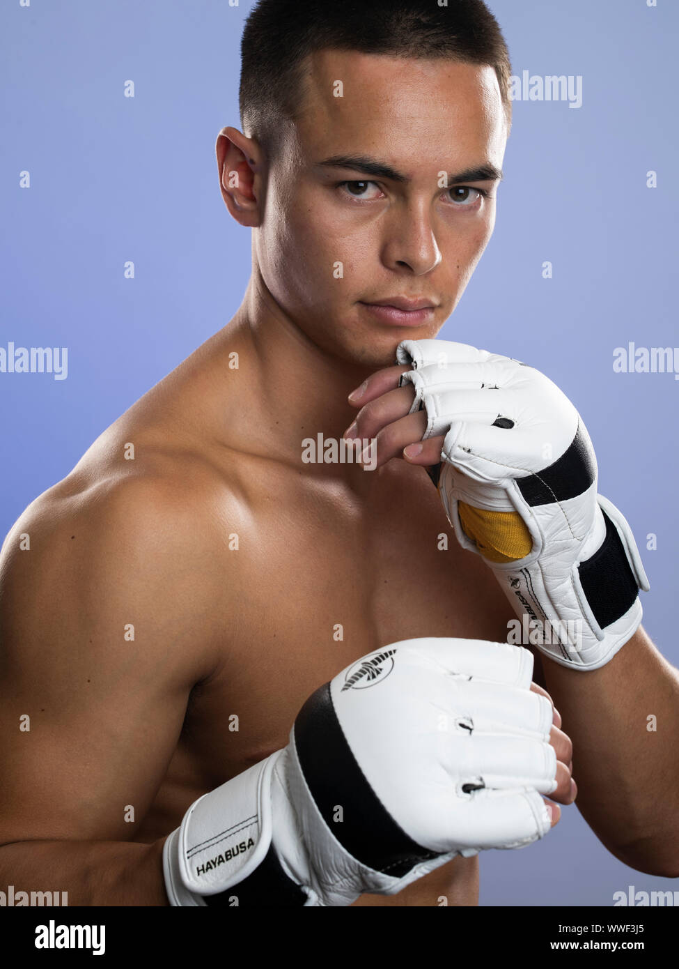 Junge männliche boxer Stockfoto