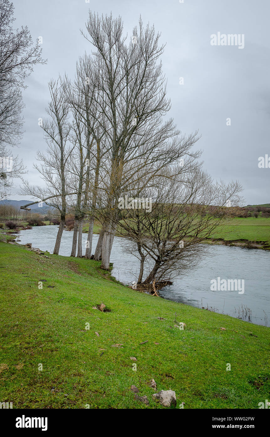 Spanien. Feld und Wasser in Salinas. Palencia Stockfoto