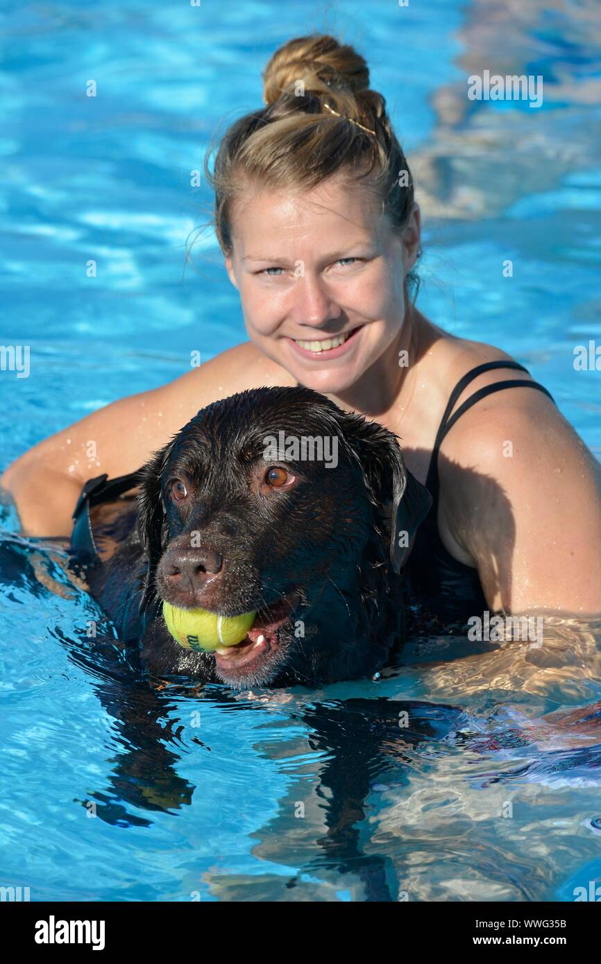 Jährliche Hund schwimmen Saltdean Lido, Brighton 14/09/2019 Das Ende der Saison, wenn der Besitzer kann Schwimmen mit ihren Hunden in einem offenen öffentlichen Pool Stockfoto