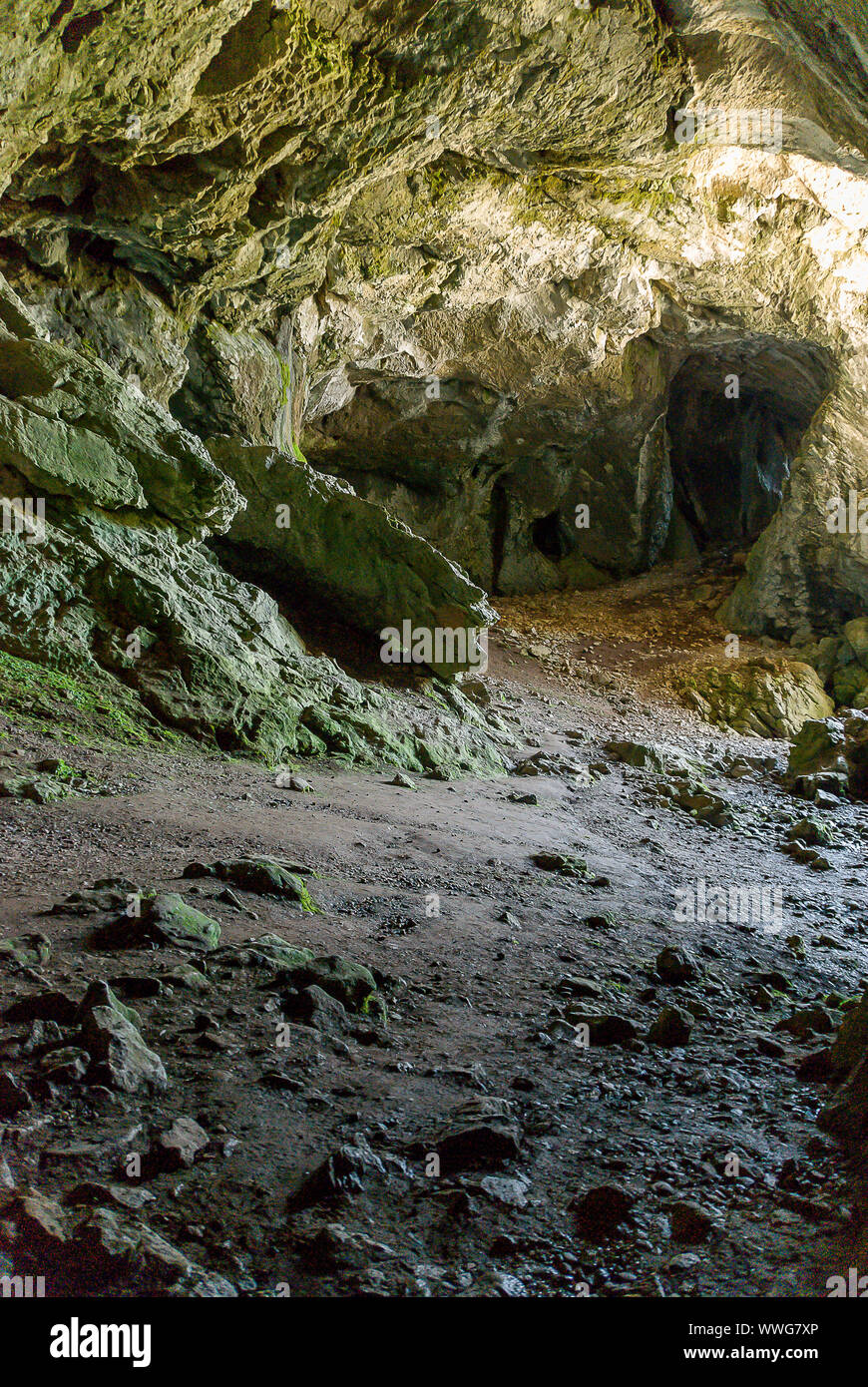 Spanien. Cueva Kupfer, Geburt des Flusses Pisuerga im Nationalpark von Fuentes Carrionas. Palencia Stockfoto