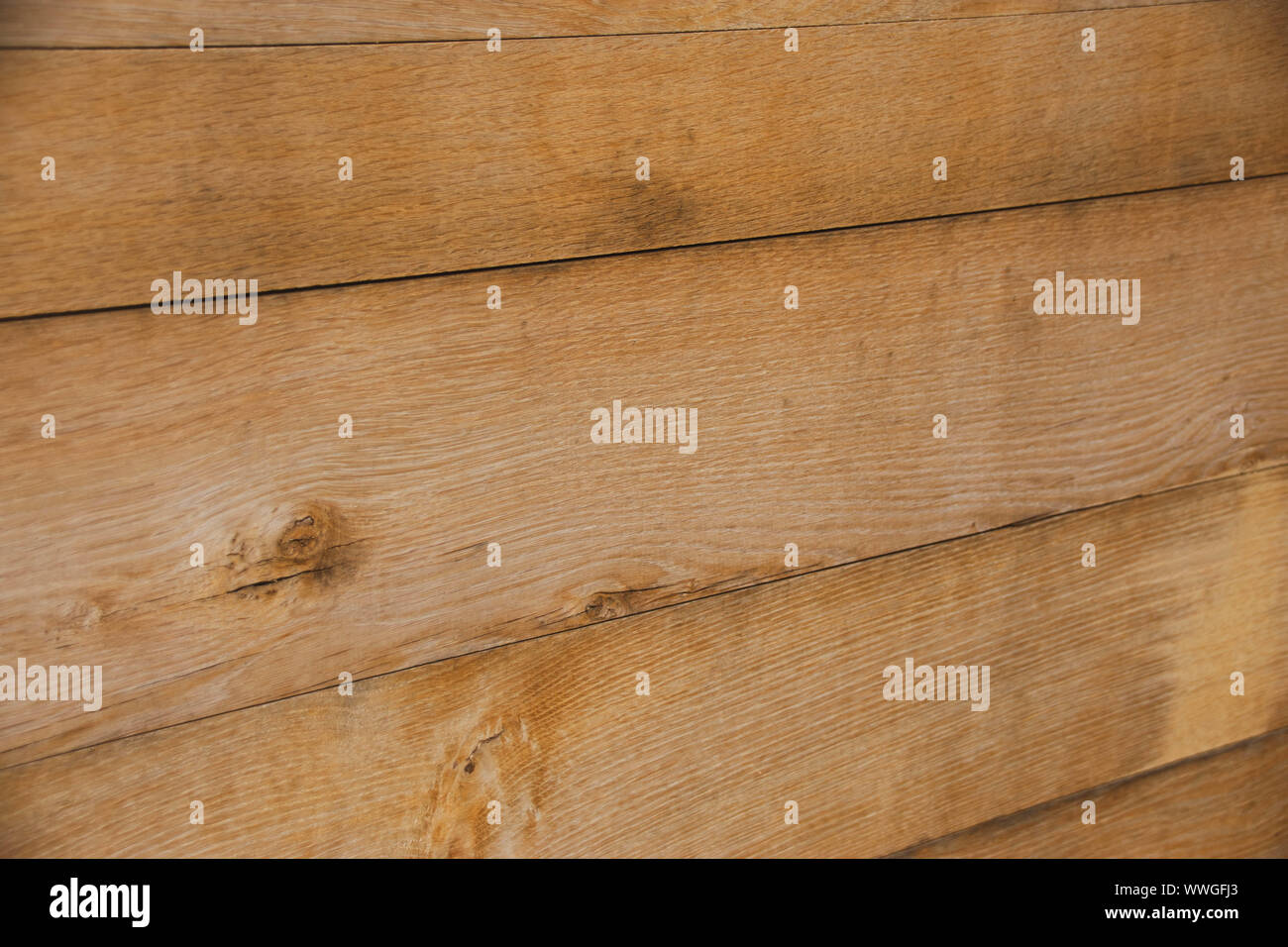 Eiche paneelen oder Planken Stockfoto