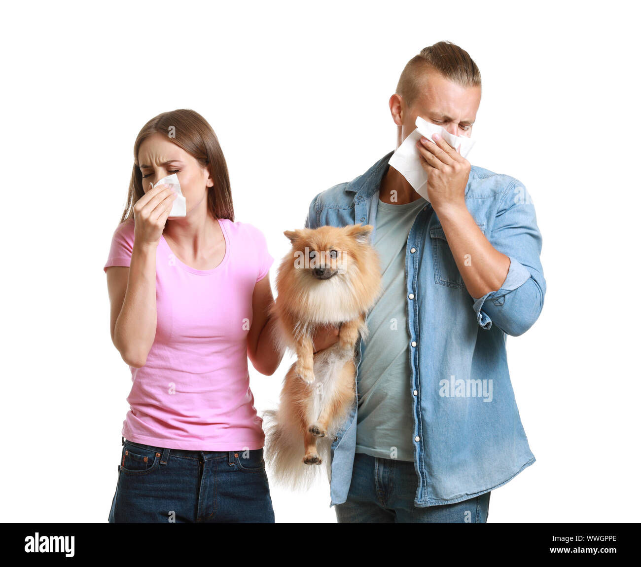 Junge Frau und Mann Leiden aus pet-Allergie auf weißem Hintergrund Stockfoto