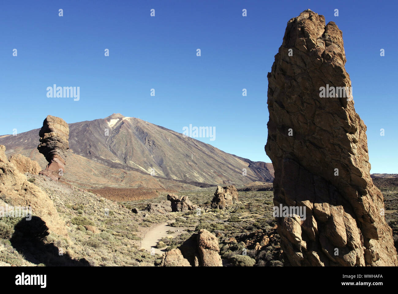 Kanaren, Teneriffa, Nationalpark der Canadas del Teide Stockfoto