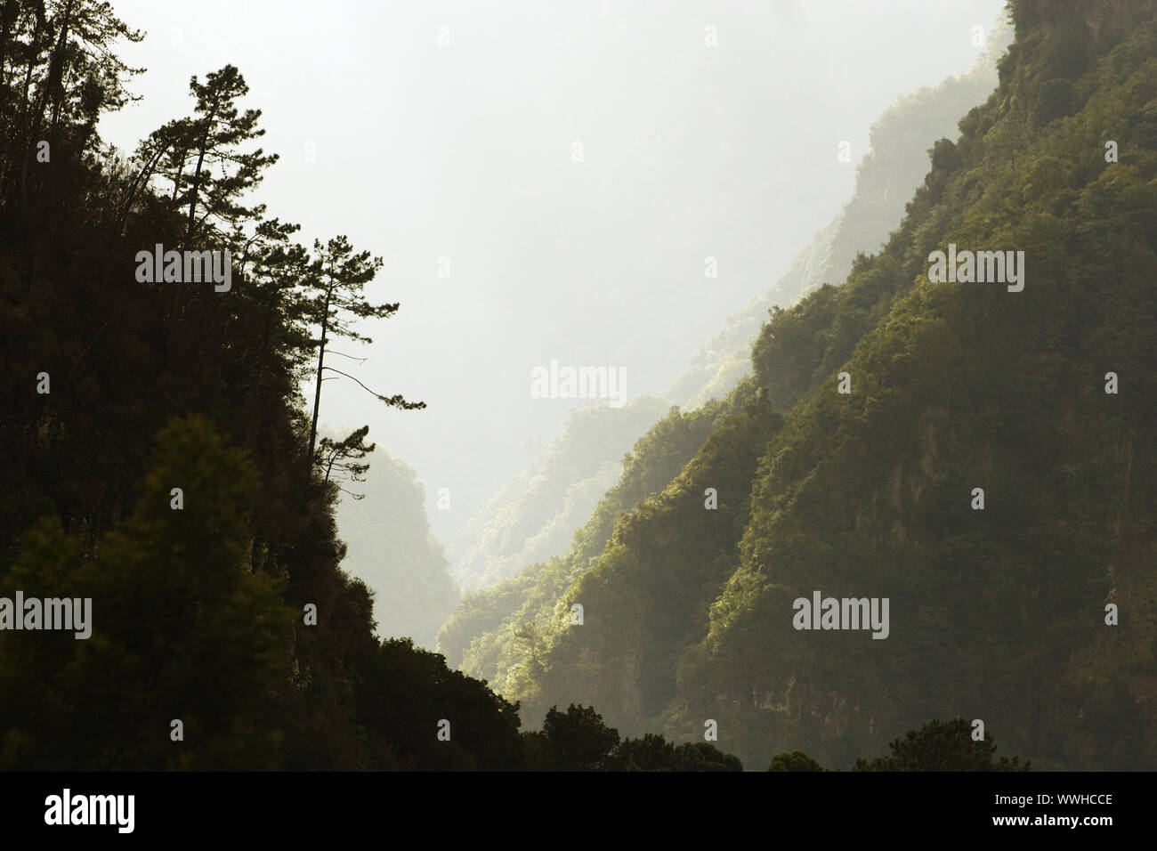 Portugal, Madeira, Blick von Sao Roque do Faial in das Naturschutzgebiet Parque Forestal Stockfoto