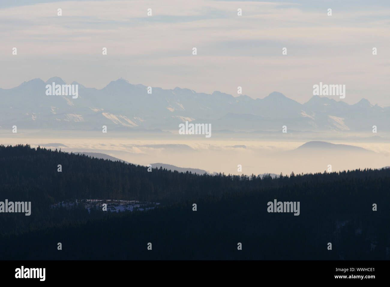 Blick von Schauinslandaussichtssturm im Schwarzwald in die Schweizer Alpen, Deutschland, Deutschland, in die Schweizer Alpen sehen Stockfoto