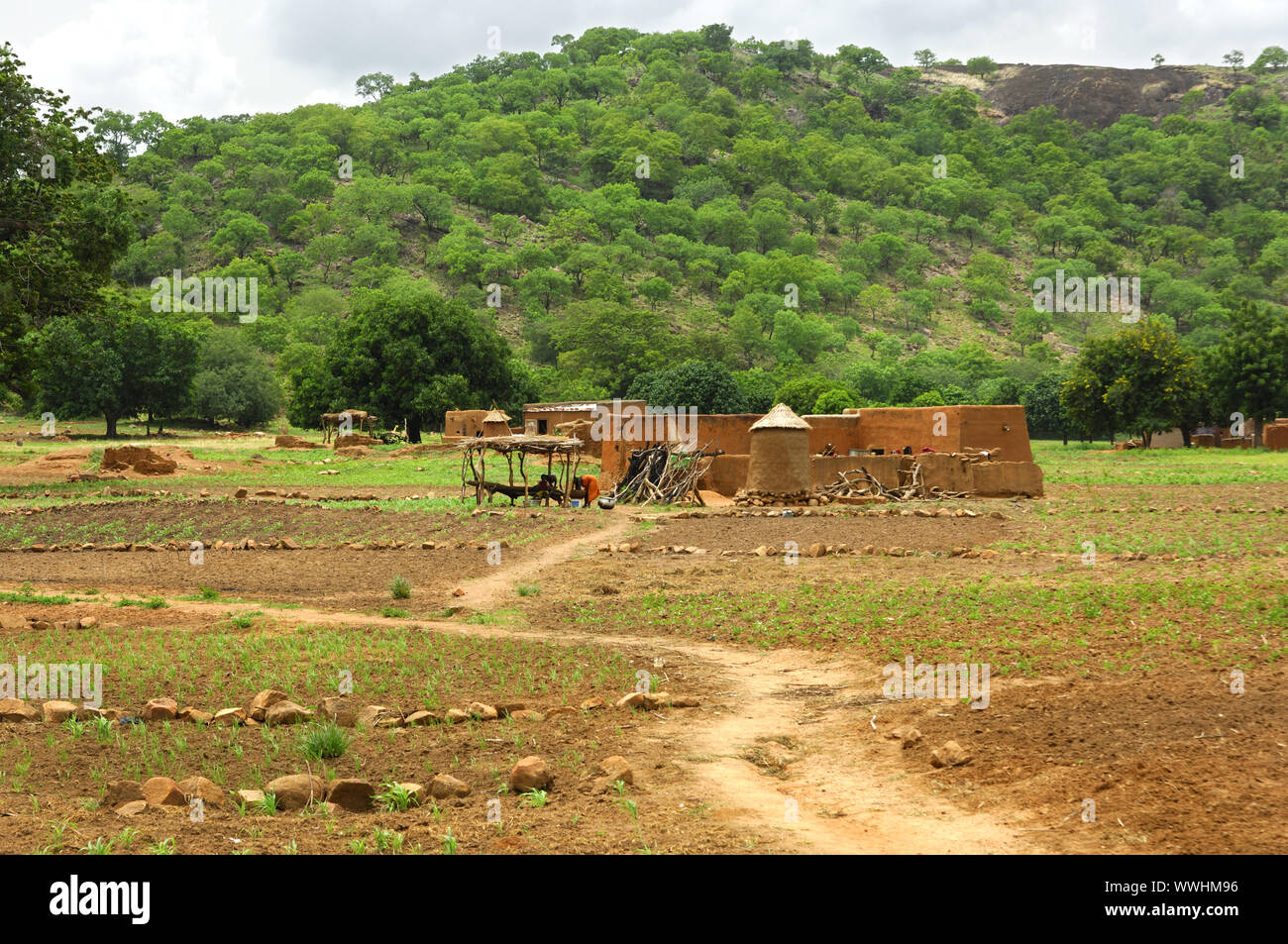 Farm Road zu einem Bauernhof, Burkina Faso Stockfoto