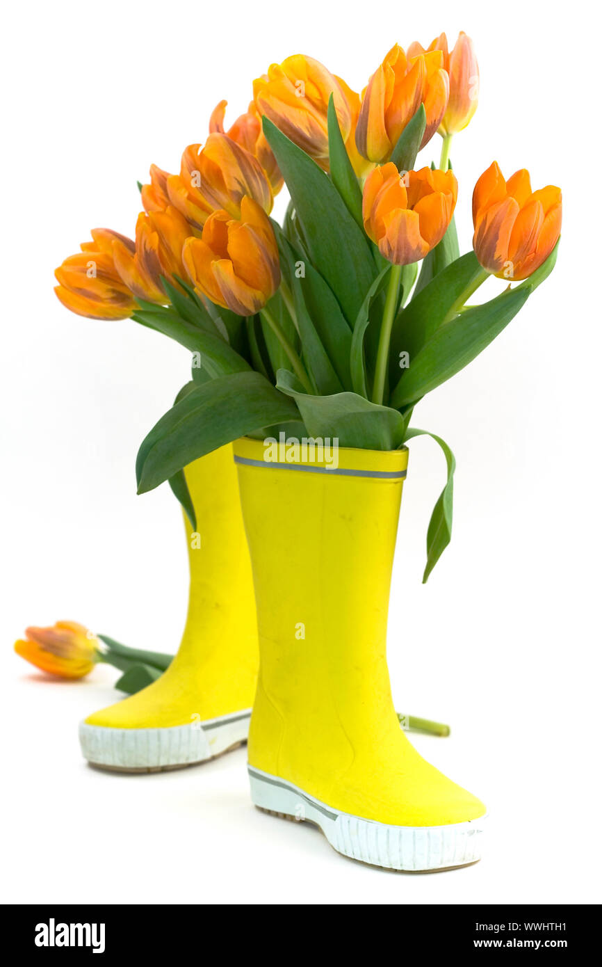 Wenig regen Stiefel und frische Tulpen Stockfoto