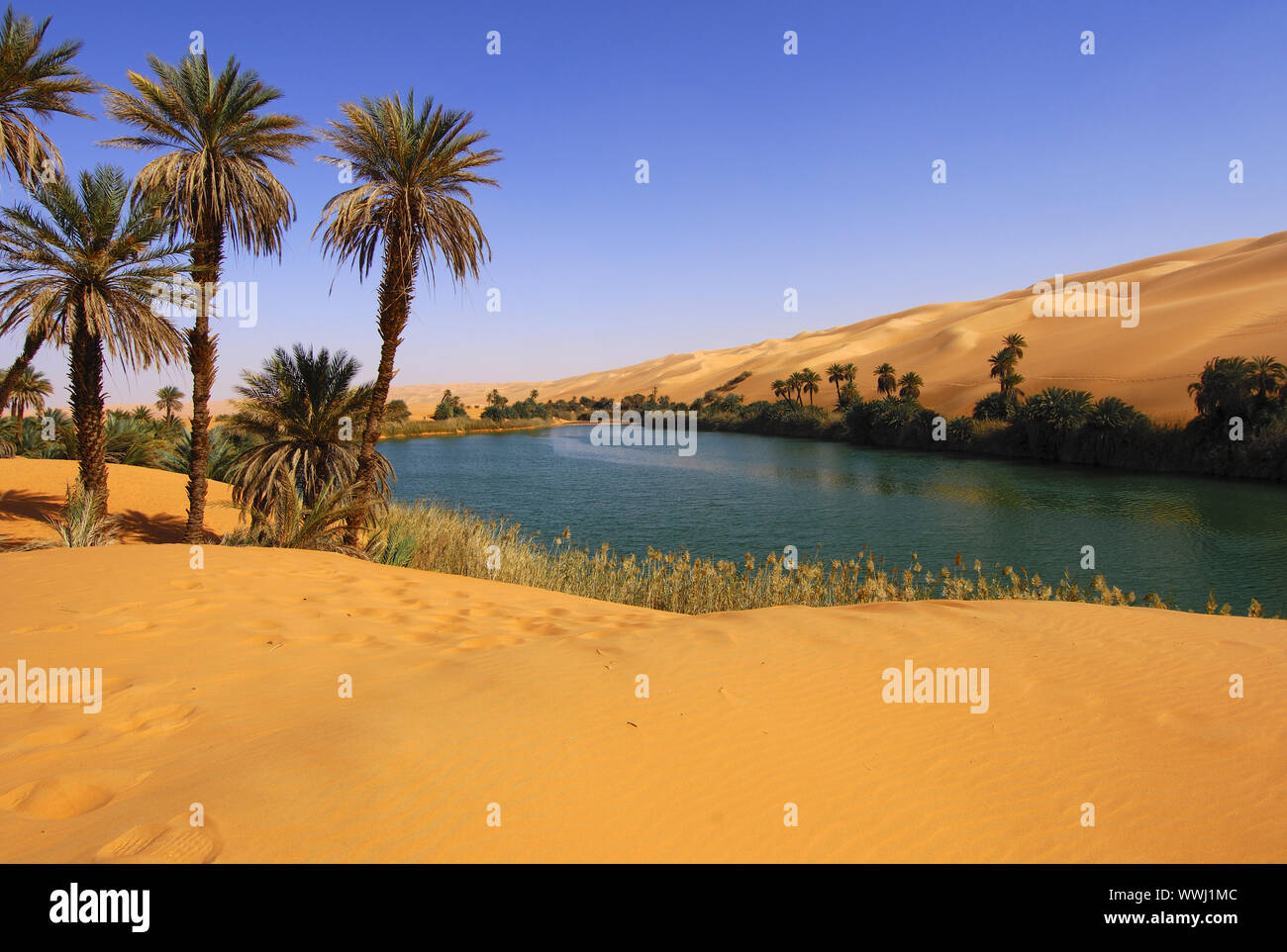 Wüste See Um el Maa, Sahara Stockfoto