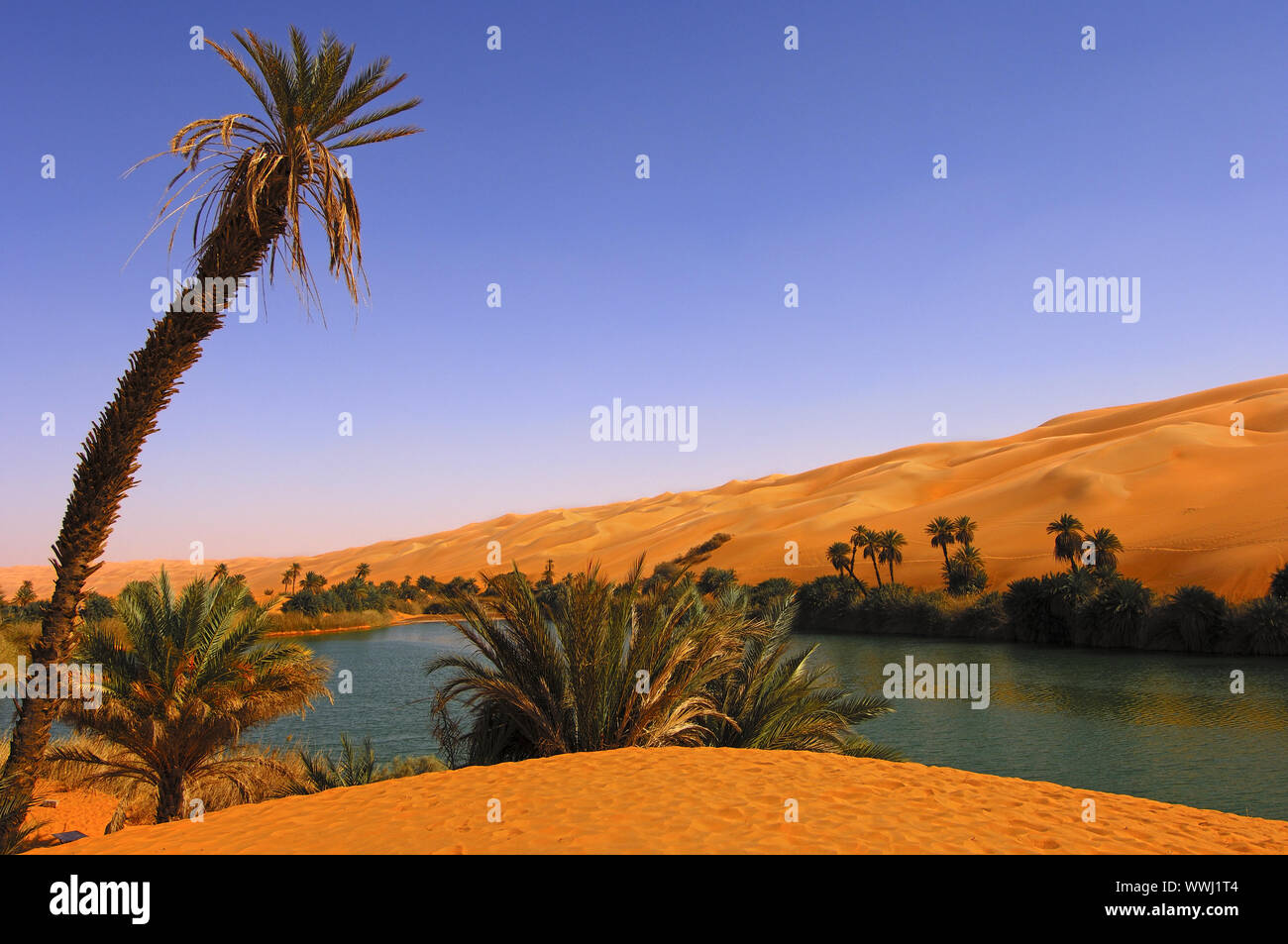 Um el Maa See, Sahara, Libyen Stockfoto Um el Maa See, Sahara, Libyen Stockfoto