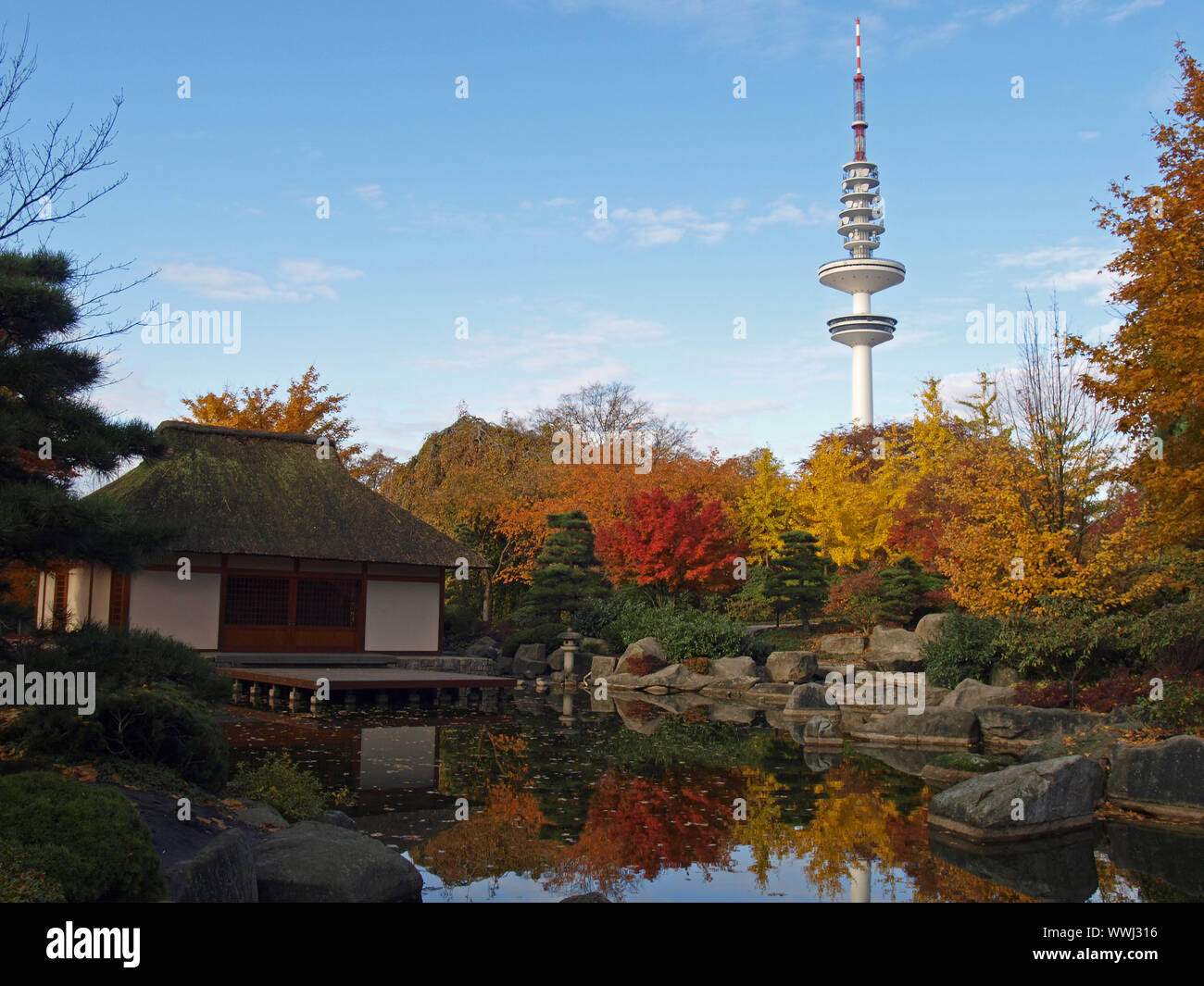 Japanischer Garten Stockfoto