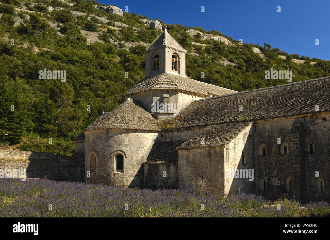 Zisterzienserkloster Sénanque, Gordes Stockfoto