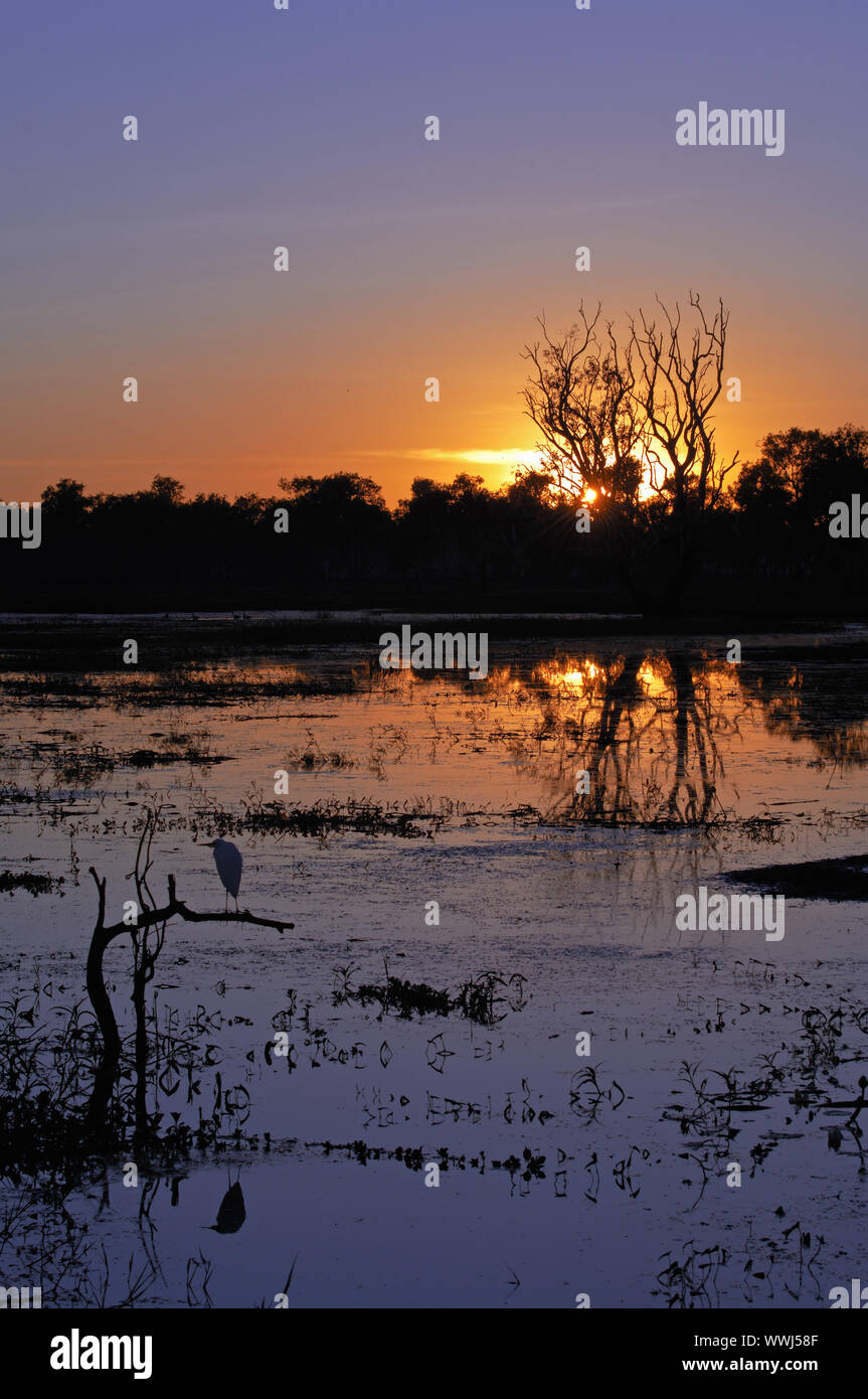 Sonnenaufgang über den Yellow Waters Lagoon, Kakadu National Park, Northern Territory, Australien Stockfoto