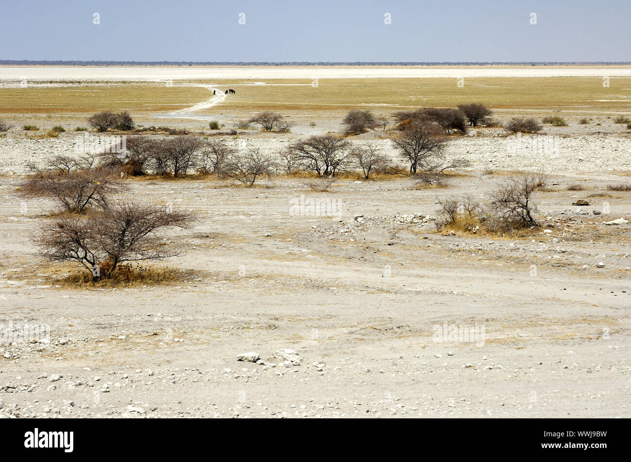 Makgadikgadi Salzwüste, Botswana Stockfoto