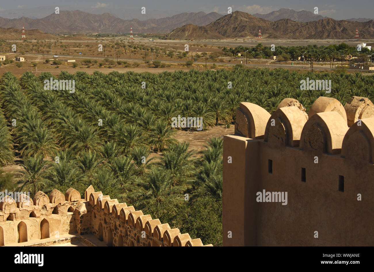 Datum palm Plantagen in der Nähe von Fort Jabrin, Oman Stockfoto