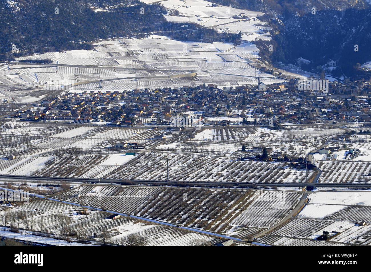 Winterlichen Weinberge in der Nähe von Sierre Rhone-Valley Stockfoto