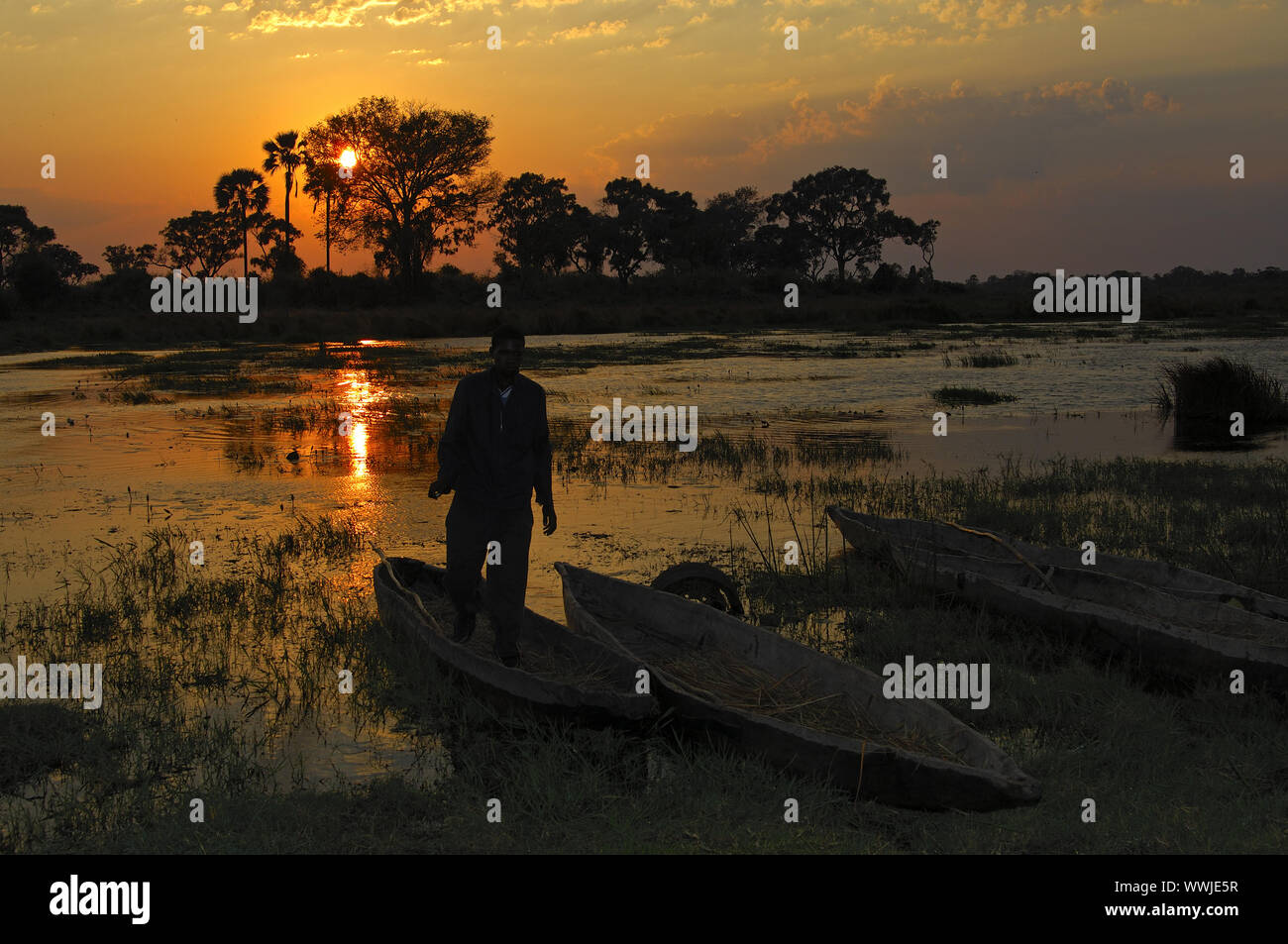 Sonnenuntergang im Okavangodelta Stockfoto