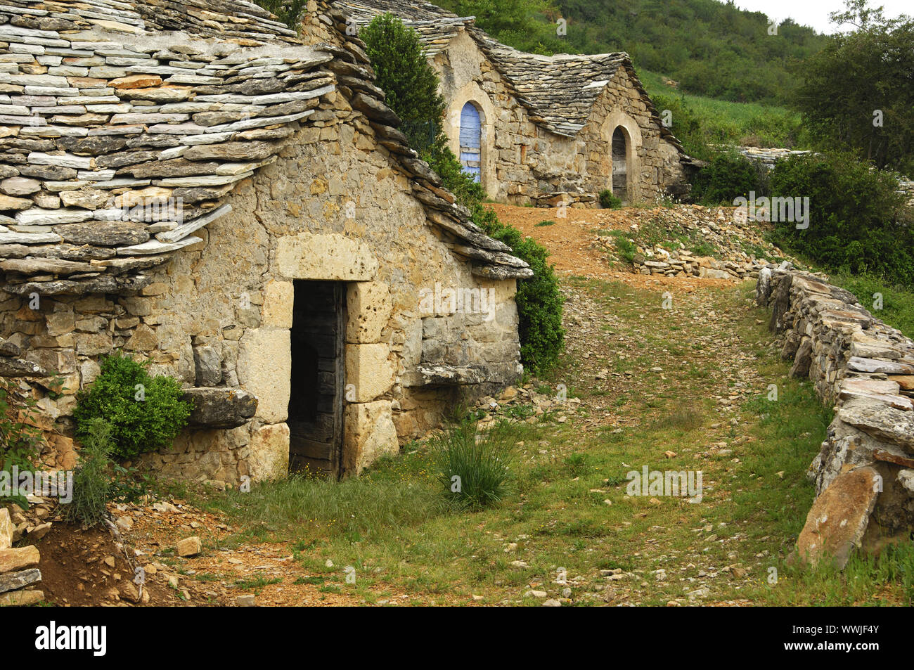 Alte Weinkeller, Frankreich Stockfoto