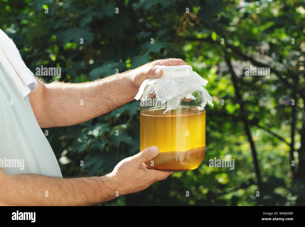 Mann mit einem Glas Glas mit Tee Pilz hausgemachte kombucha Tee im Garten gefüllt. Gegorene Getränke, Kaffee gesunden natürlichen probiotic im Glas. Stockfoto