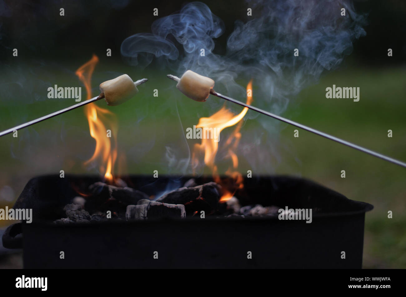 Lagerfeuer mit Marshmallow. marshmallows Rösten über offenem Lagerfeuer. Marshmallow outdoor Lagerfeuer Nacht. Selektive konzentrieren. Stockfoto