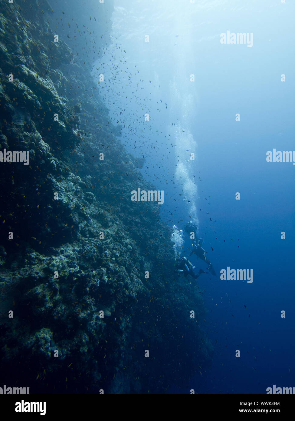 Blue Hole/Dahab Stockfoto