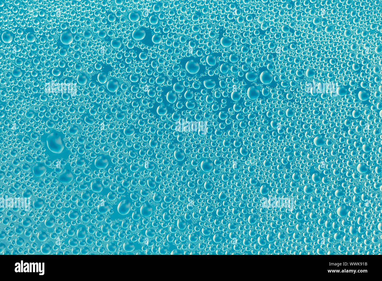 Wassertropfen auf blauem Glas Oberfläche. Abstrakte blasen Hintergrund. Glänzend glänzende Textur. Drops. Transparente Kondensation. Hintergrund für moderne Kunst Stockfoto